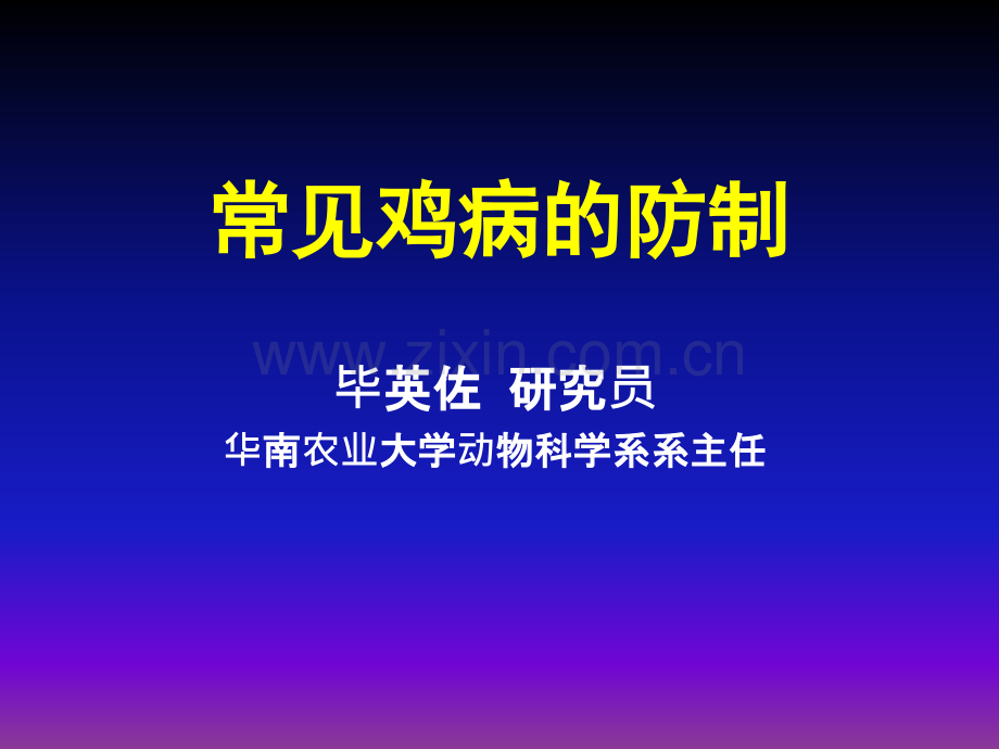 常见鸡病的防治ppt课件.ppt_第1页