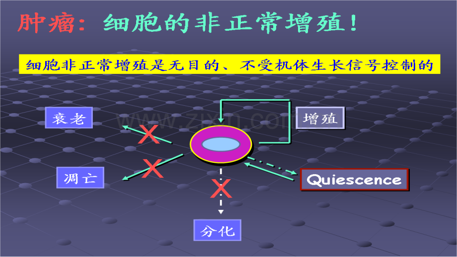 常见肿瘤的防治ppt课件.ppt_第3页