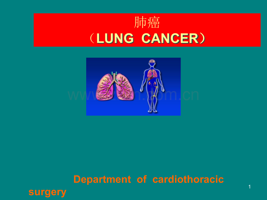 肺癌的临床表现及治疗.ppt_第1页