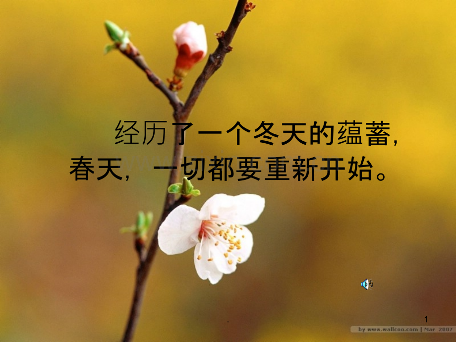 草芽尖尖小学晨诵课程PPT课件.ppt_第1页