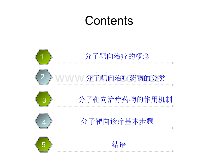 恶性肿瘤分子靶向治疗.ppt_第2页