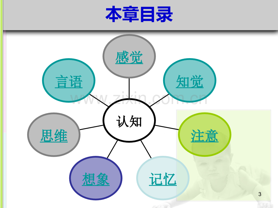 二-学前儿童认知发展PPT课件.ppt_第3页