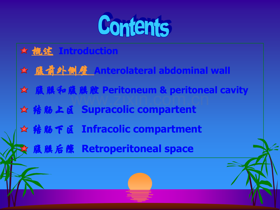 腹部局部解剖.ppt_第2页