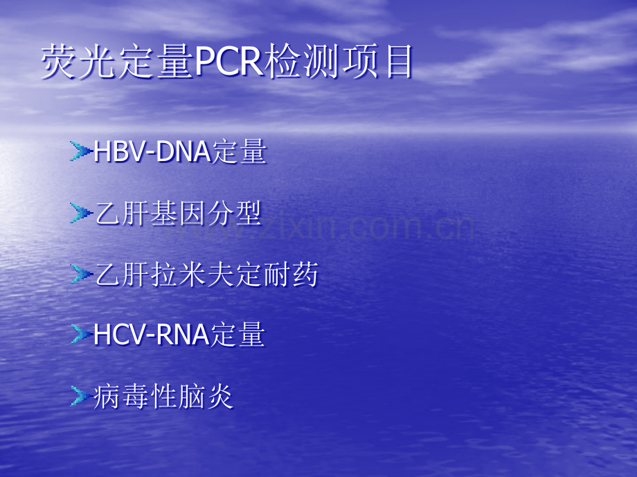 荧光定量PCR检测项目.ppt_第1页