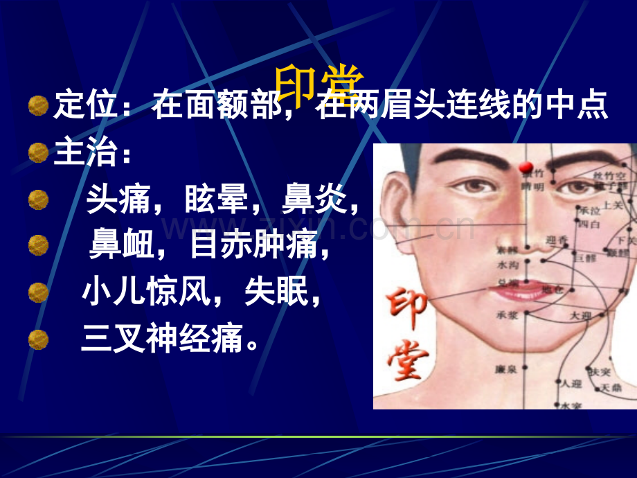 保健推拿常用穴位介绍.ppt_第3页