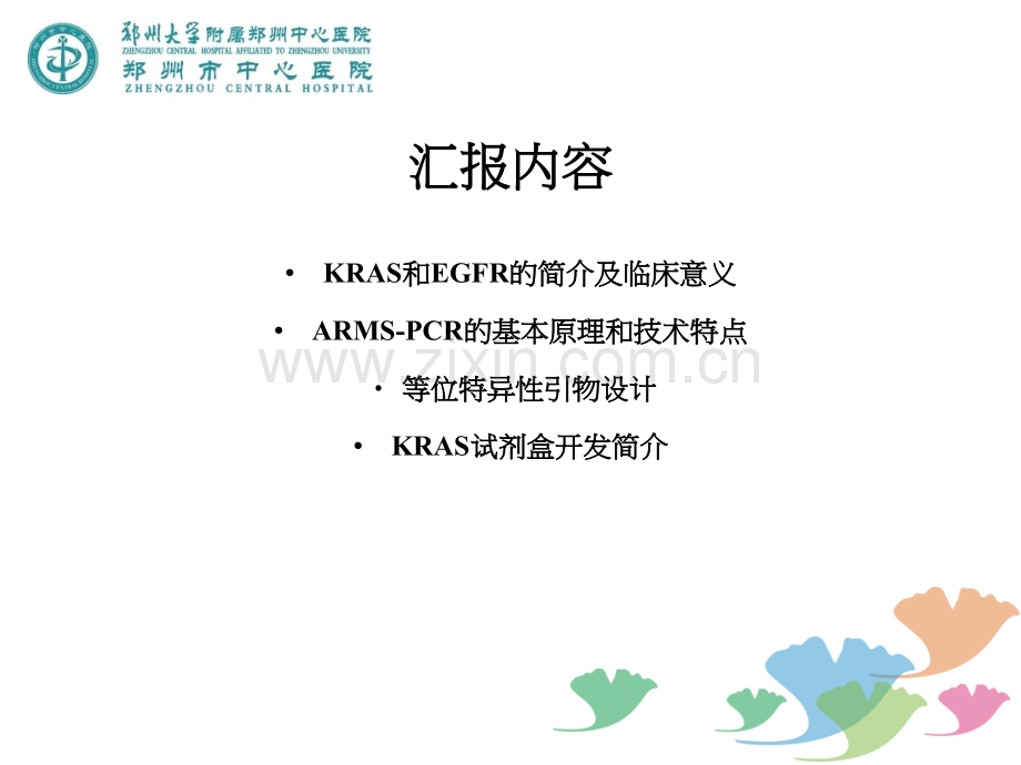 KRAS和EGFR检测与临床应用.ppt_第2页