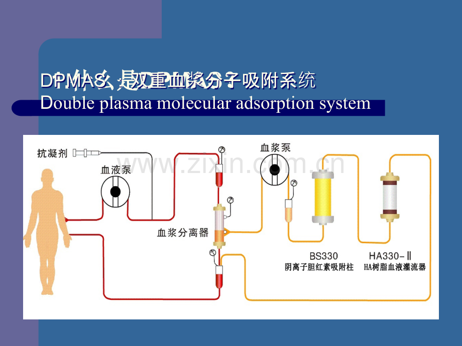 DPMAS的基本知识.ppt_第3页