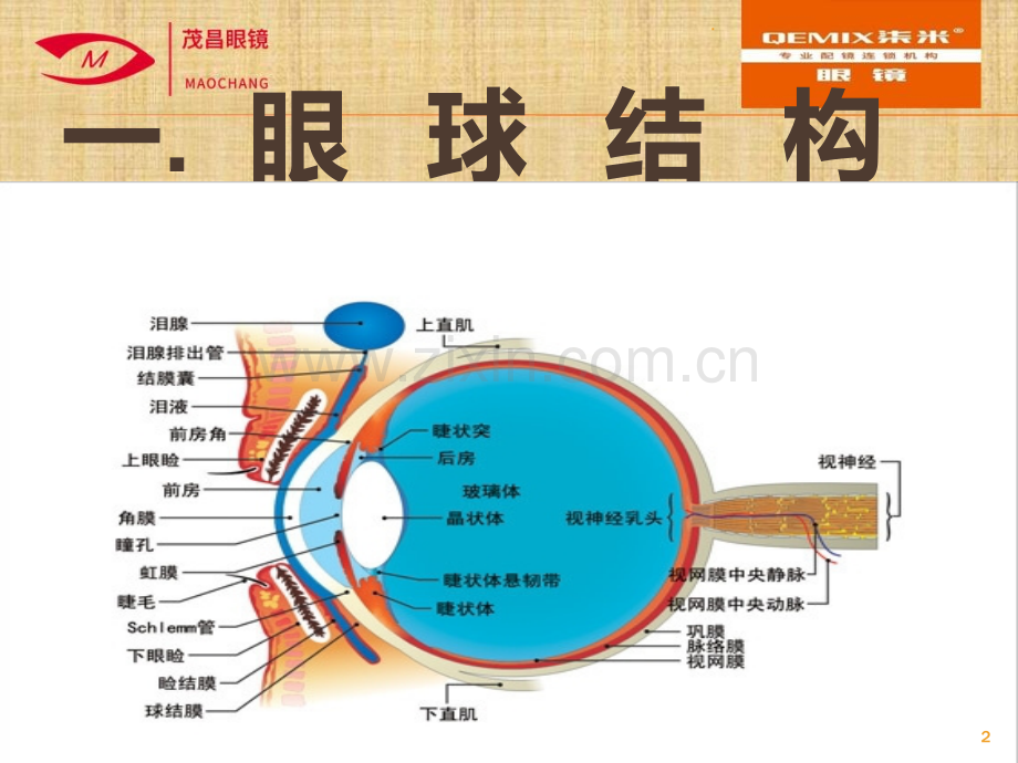 眼屈光学培训PPT课件.ppt_第2页