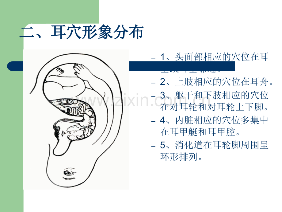 耳穴压豆课件.ppt_第3页