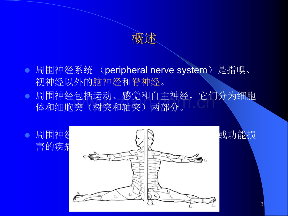 第6章-周围神经病ppt课件.ppt_第3页