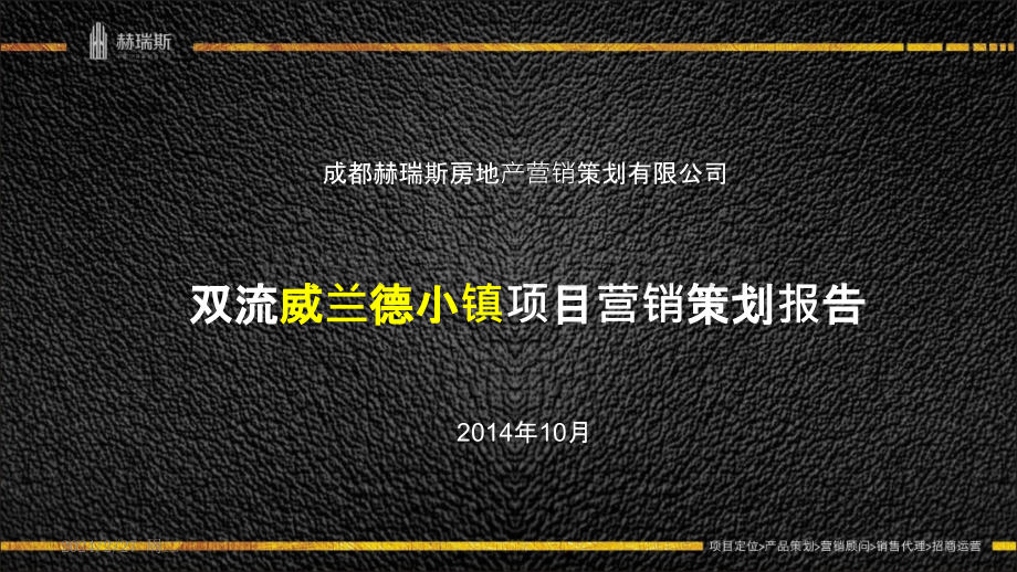 双流威兰德小镇项目营销策划报告PPT课件.pptx_第2页