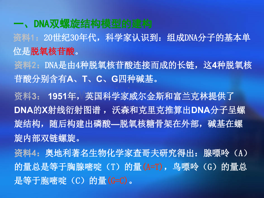 DNA分子的结构课件.ppt_第3页