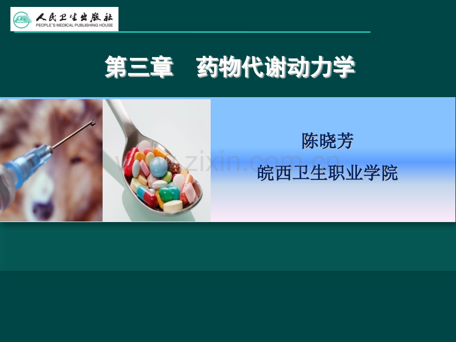 药物效应动力学PPT课件.pptx_第2页