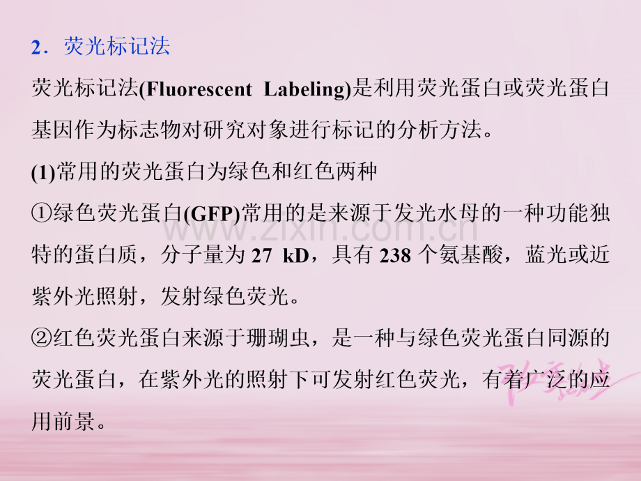 高考生物六单元遗传的物质基础热考培优五同位素示踪与荧光标记技术PPT课件.pptx_第2页