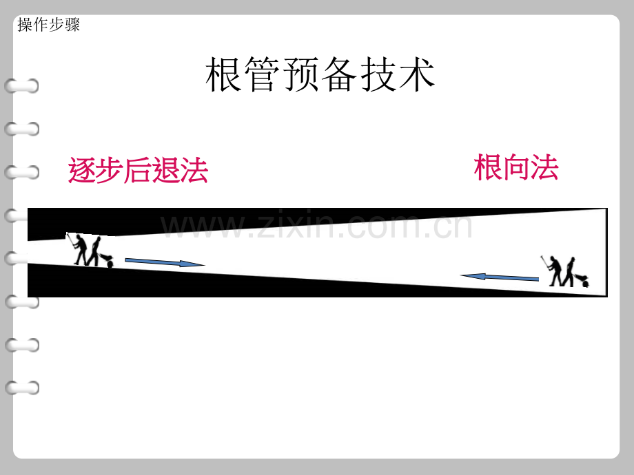 Protaper应用指南.ppt_第3页