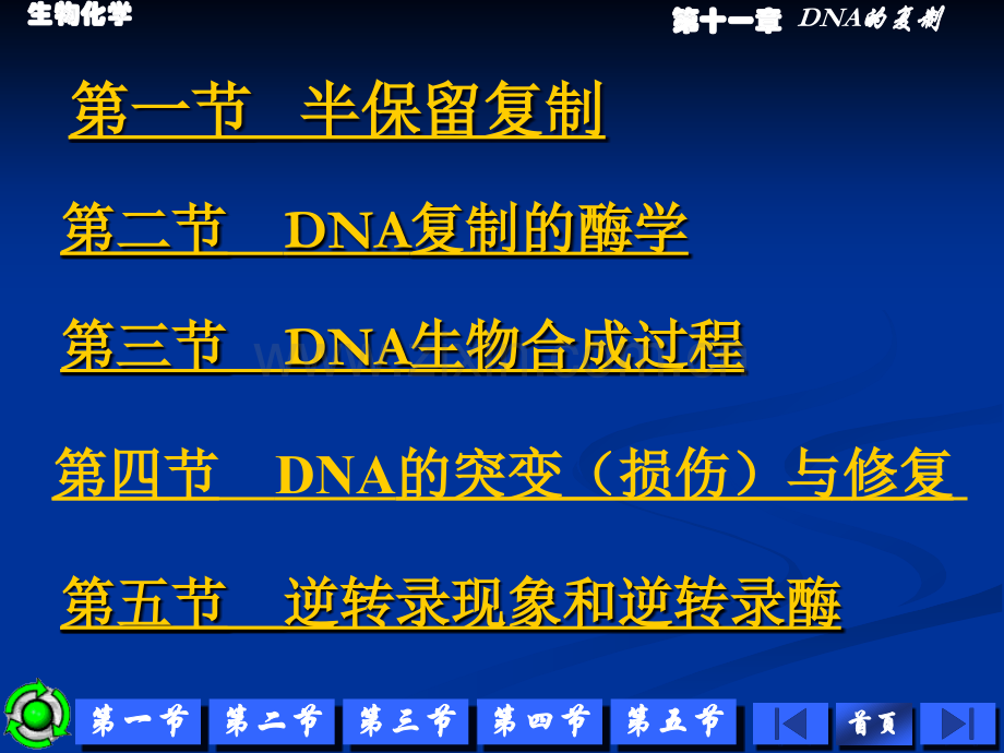 DNA的生物合成PPT课件.ppt_第2页