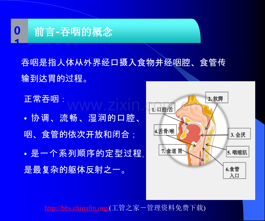 VVST评估的开展和应用.ppt_第3页