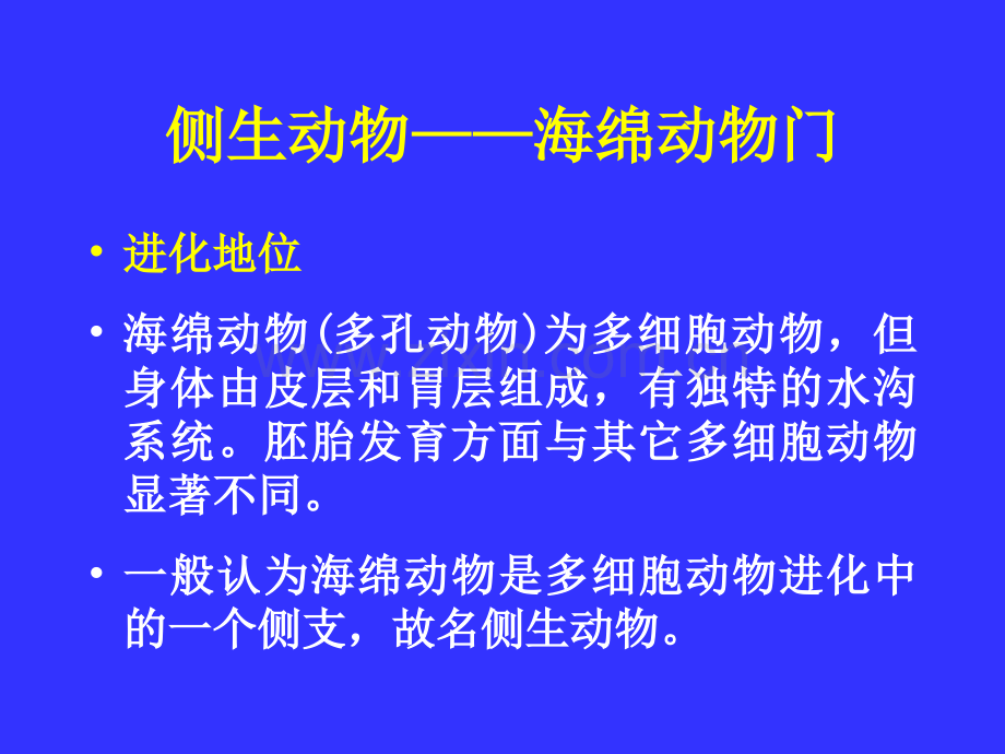 多细胞动物的胚胎发育PPT课件.ppt_第2页