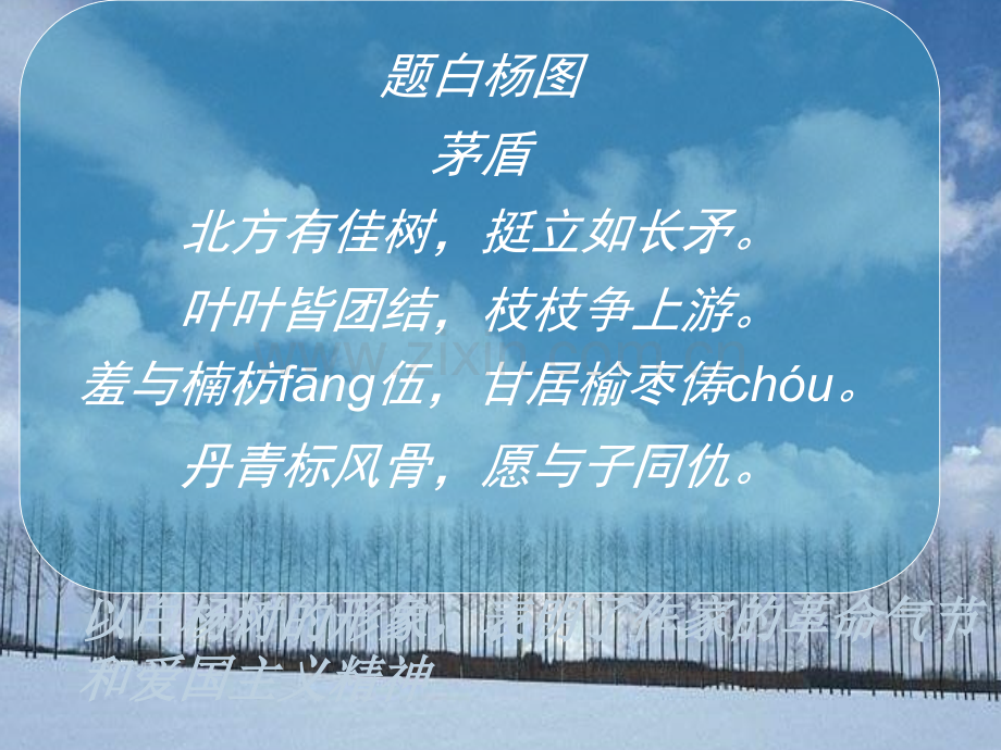 白杨礼赞优秀课件.ppt_第3页