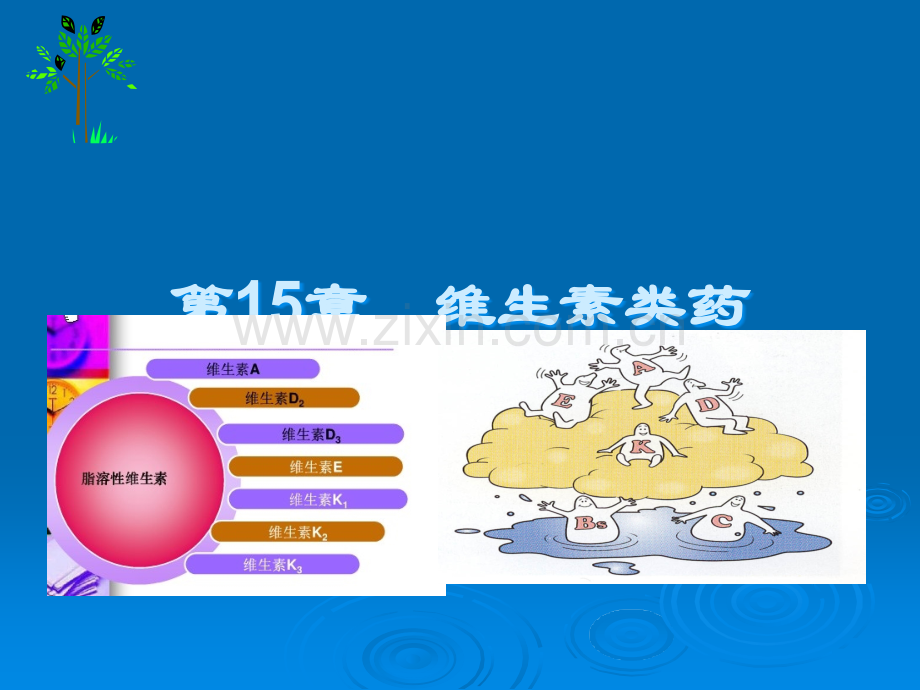 《药物化学基础中职药剂专业》维生素类药ppt课件.ppt_第2页