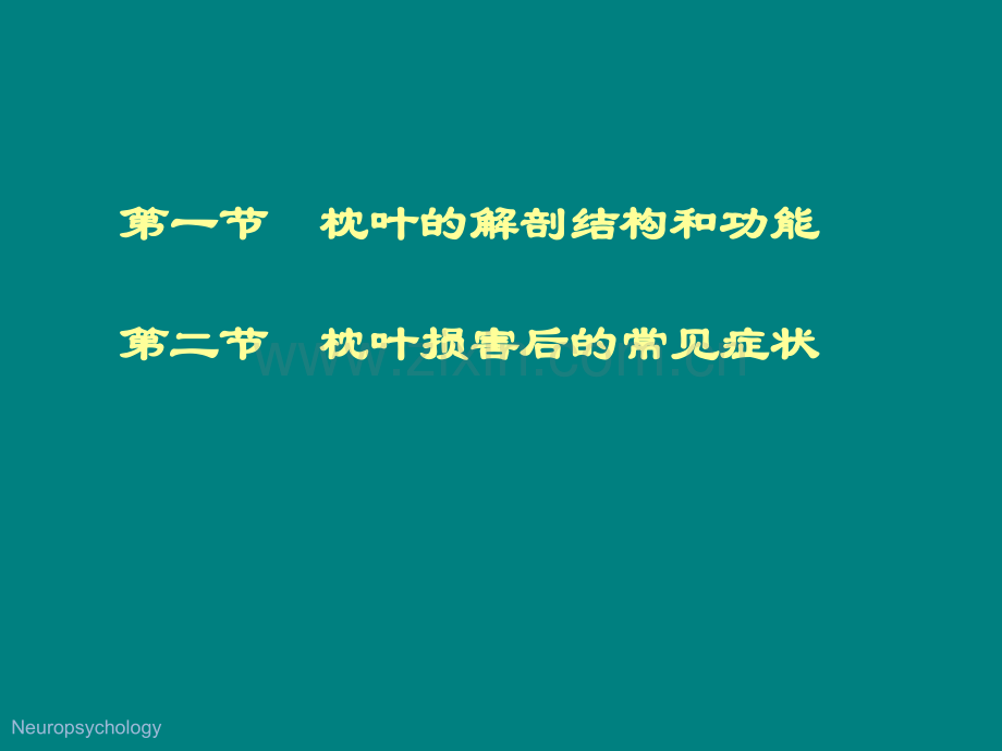 枕叶的神经心理功能.ppt_第2页