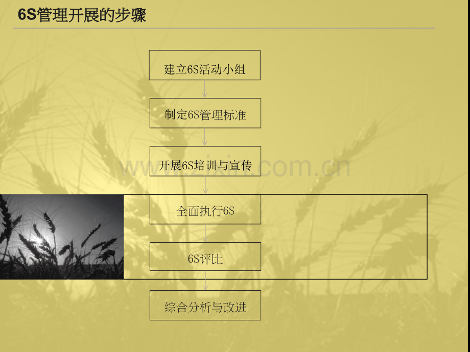 6S管理流程.ppt_第3页