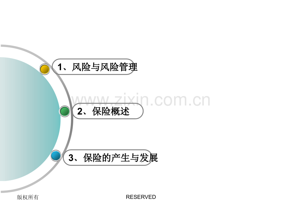 《保险原理与实务》.ppt_第2页