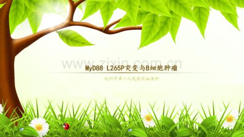 MYD88-L265P突变与B细胞肿瘤ppt课件.ppt