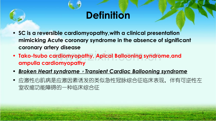 应激性心肌病ppt课件.pptx_第3页