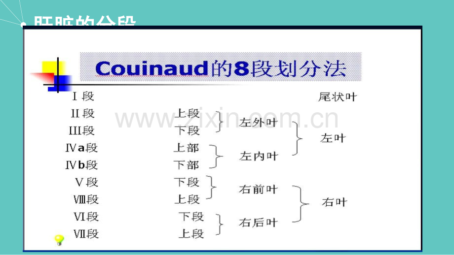 肝未分化肉瘤.ppt_第2页