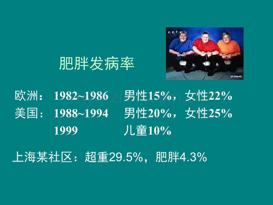 肥胖发病机制.ppt_第2页