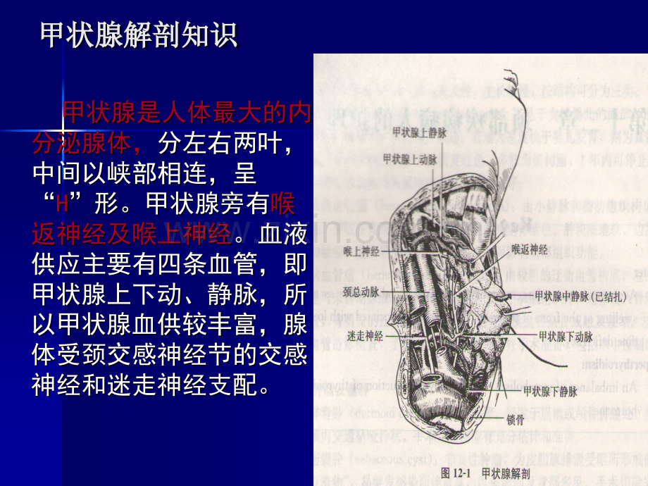 甲状腺癌术前、术后护理-ppt课件.pptx_第3页