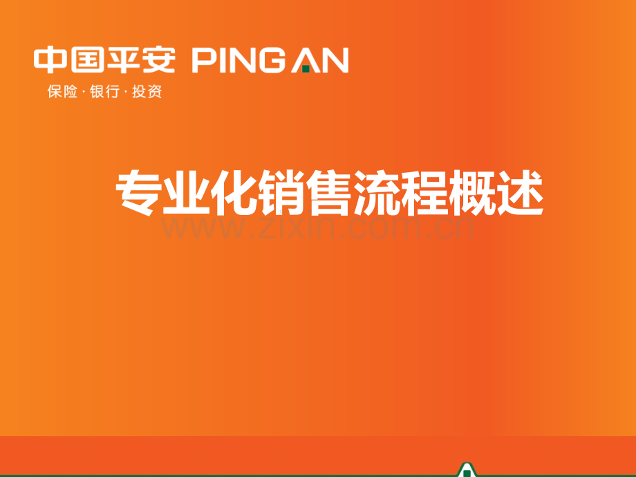 专业化销售流程概述PPT课件.ppt_第1页