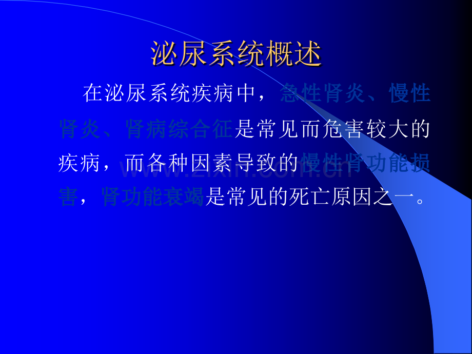 营养学基础第8章--肾脏疾病的营养治疗.ppt_第3页