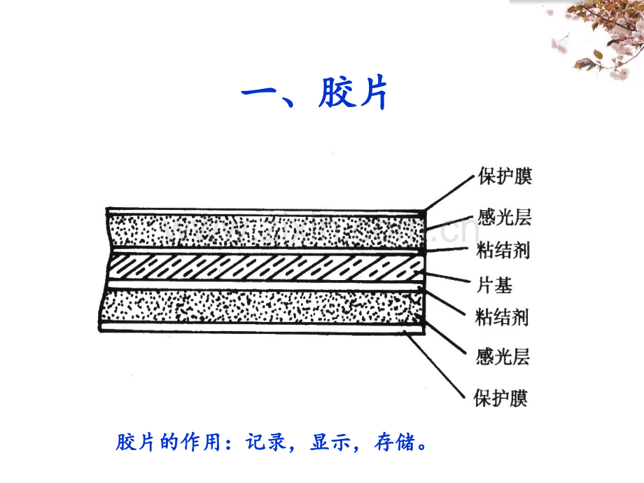 X射线的摄影与透视PPT课件.ppt_第2页