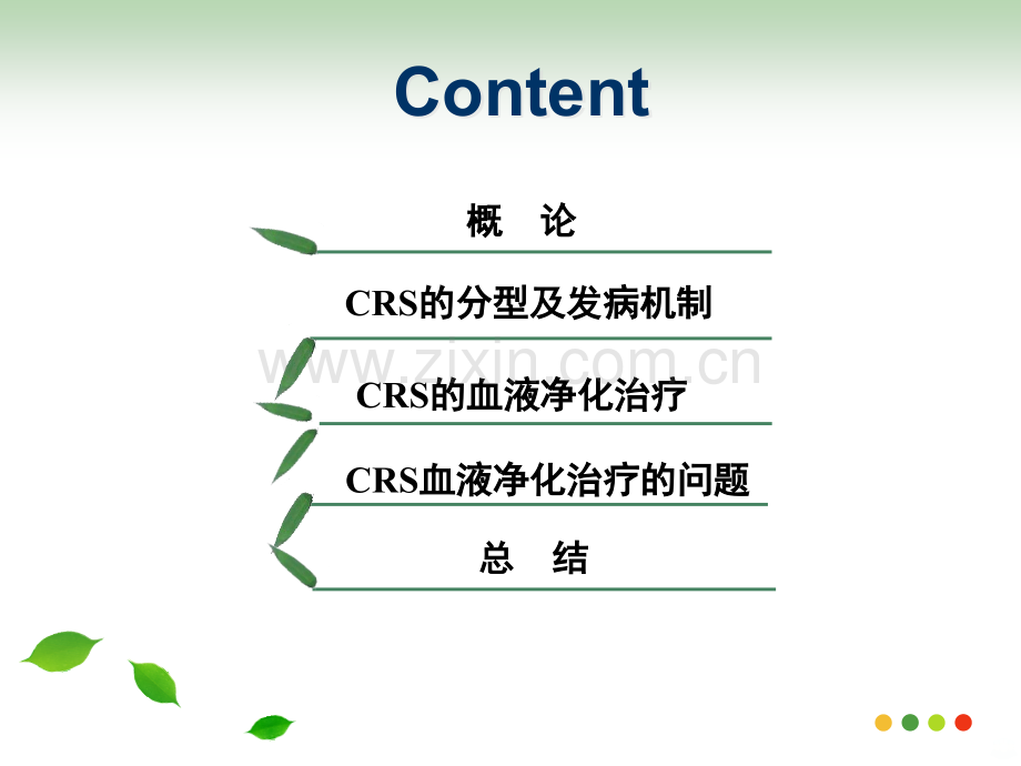 CRRT与心肾综合征PPT课件.ppt_第2页