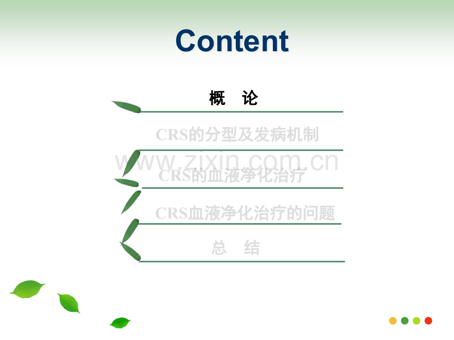 CRRT与心肾综合征PPT课件.ppt_第3页