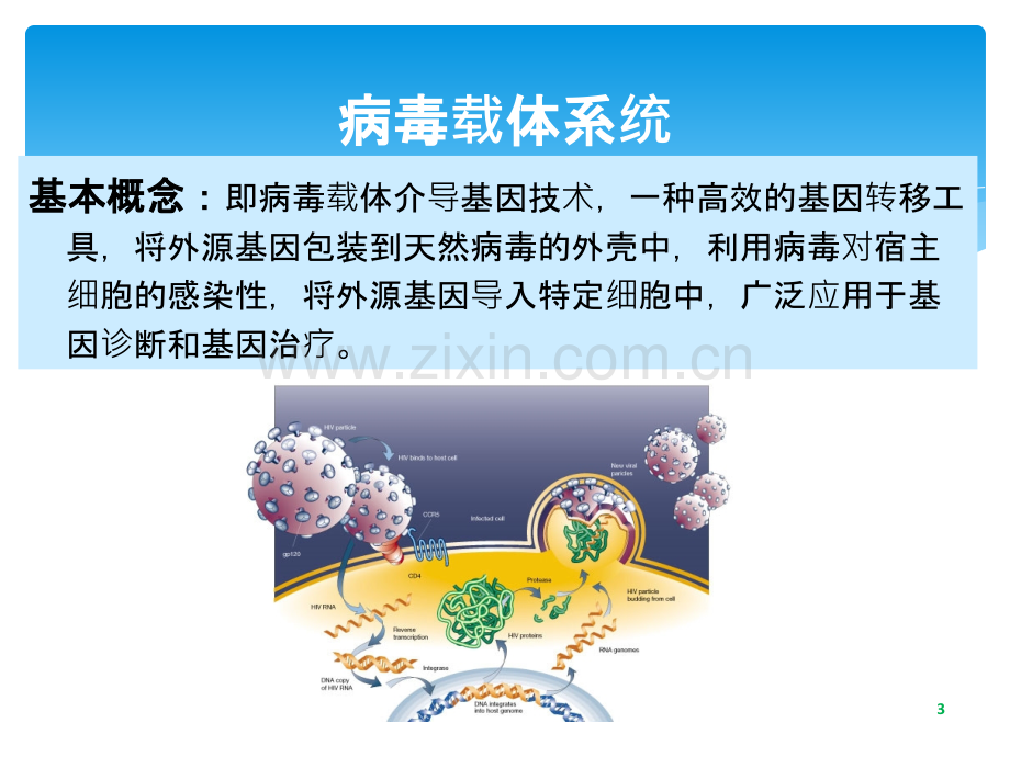 病毒包装与感染ppt课件.ppt_第3页