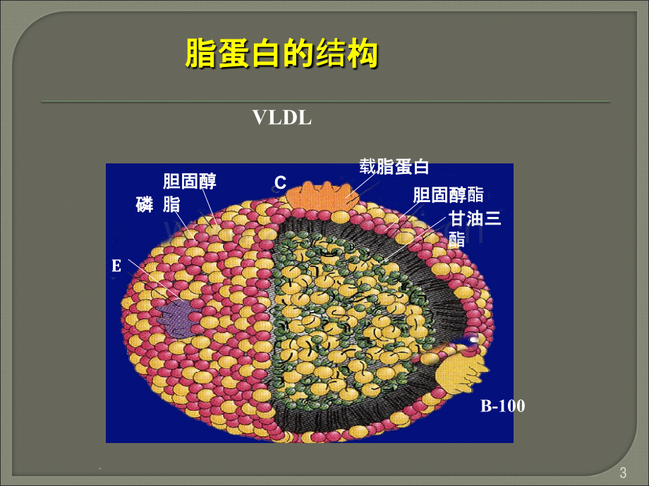 血脂与降脂治疗.ppt_第3页