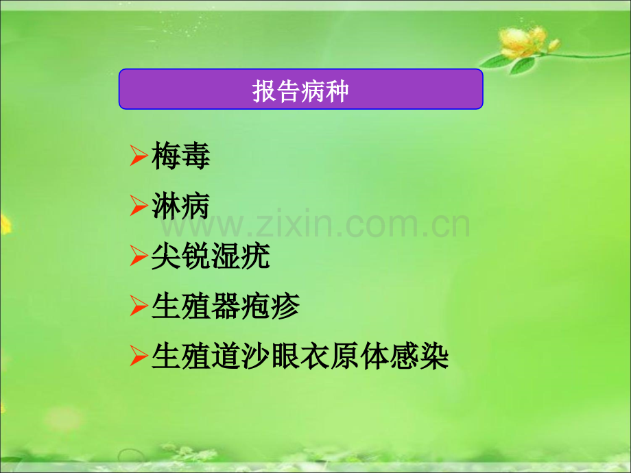 报告性病诊断标准.ppt_第2页