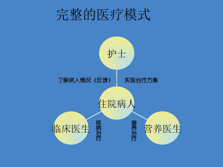 病人营养状况评价ppt课件.ppt_第2页