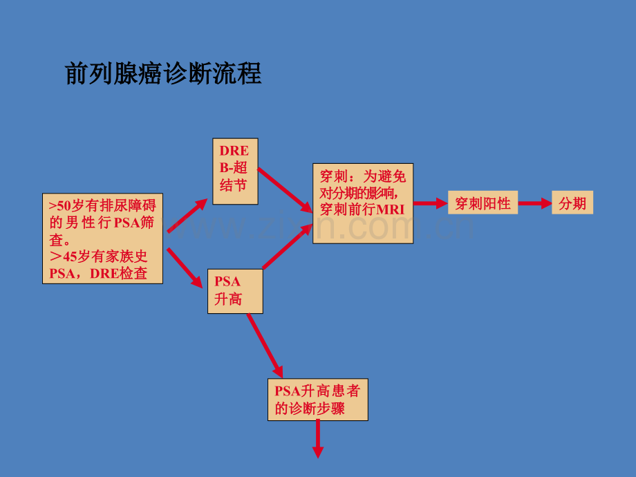 中国前列腺癌诊治指南ppt课件.ppt_第3页