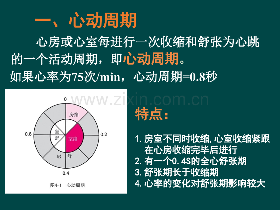 心血管生理学PPT课件.pptx_第3页