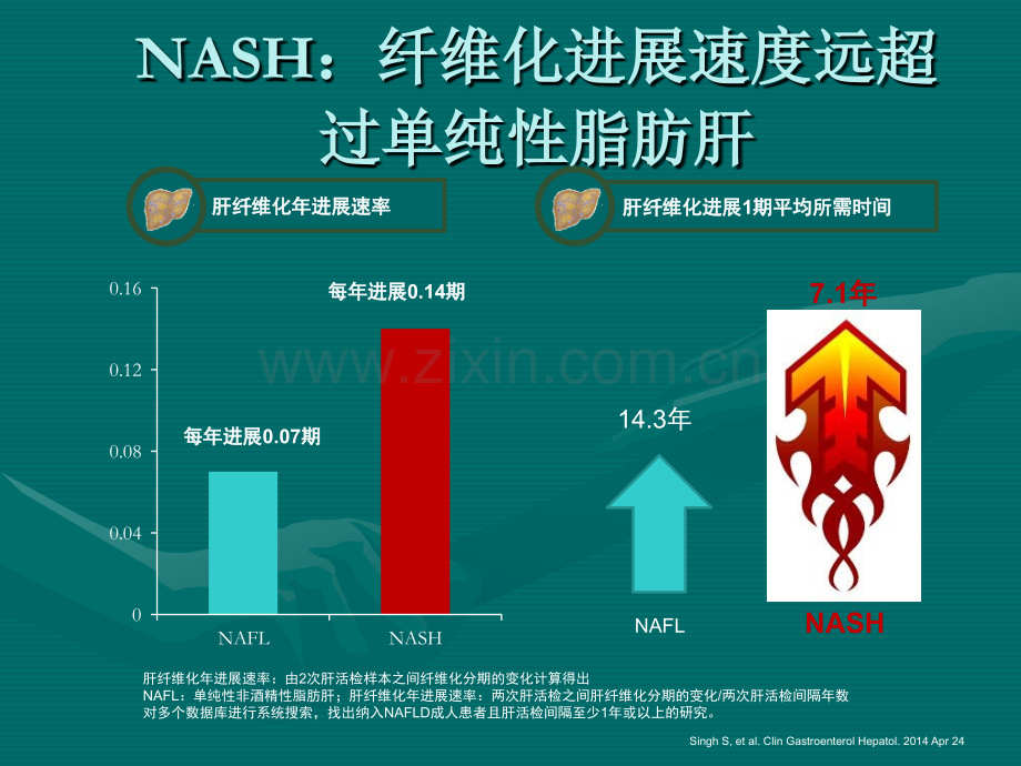 关注NASHppt课件.pptx_第3页