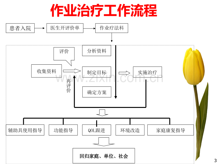 作业治疗PPT课件.ppt_第3页