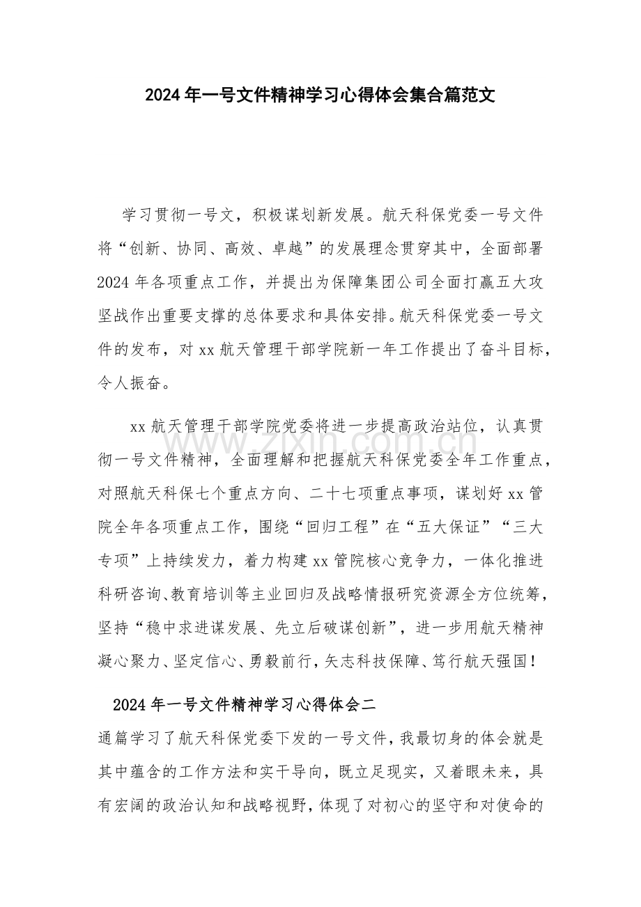 2024年一号文件精神学习心得体会集合篇范文.docx_第1页