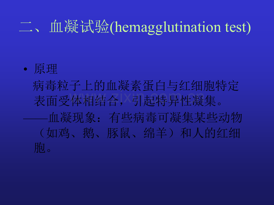 血凝和血凝抑制.ppt_第3页