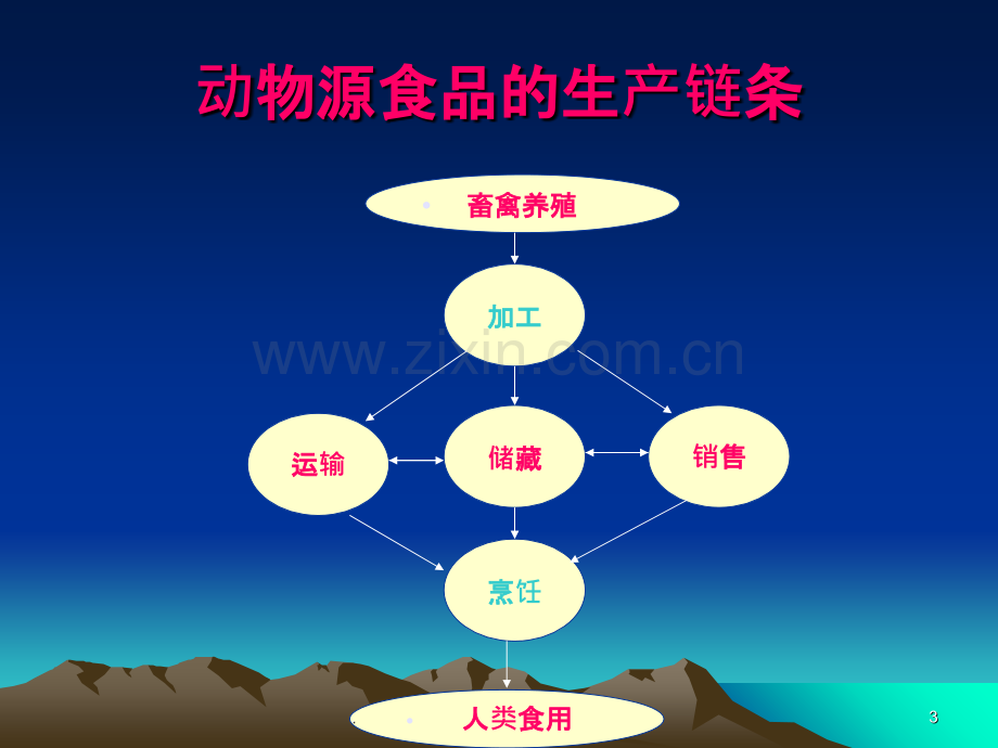 动物源食品质量安全ppt课件.ppt_第3页