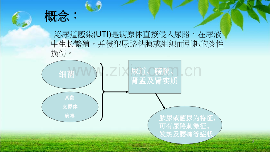 小儿泌尿道感染PPT课件.ppt_第2页