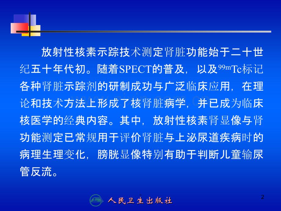 第十五章-泌尿系统PPT课件.ppt_第2页